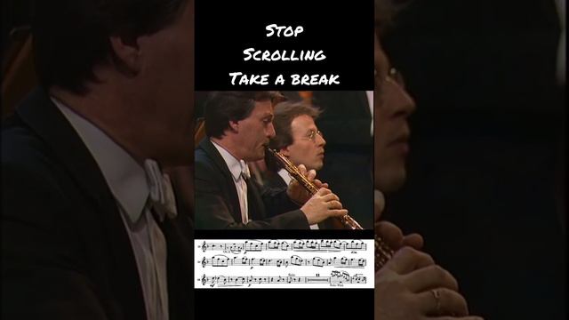 Brahms Violin Concerto. Oboe Solo. Berlin Philharmonic #music #classical