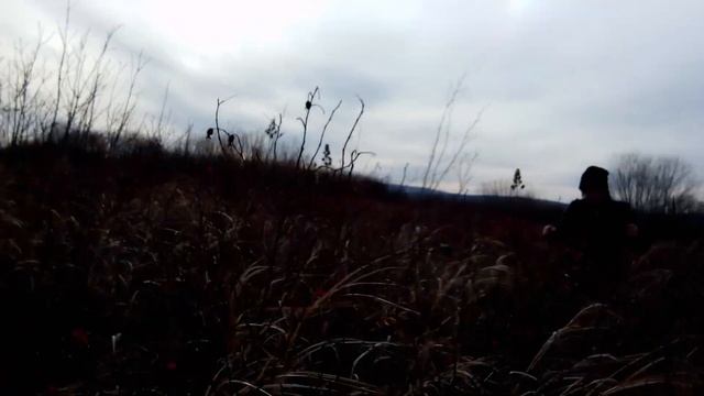 29 октября 2023 г. смотреть онлайн