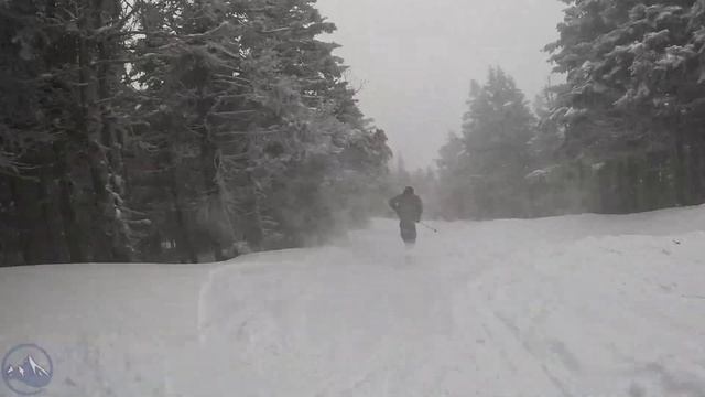 2024 Black Crows Atris Ski Review With SkiEssentials.com
