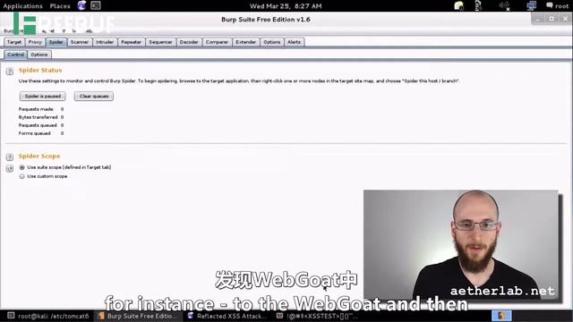5. Target和Spider模块介绍 | Web应用渗透工具BurpSuite教程 | FreeBuf字幕组 смотреть онлайн