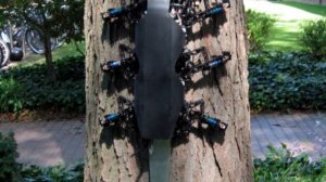 10 САМЫХ ИНТЕРЕСНЫХ РОБОТОВ