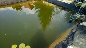 Пруд с биоплато в Сибири. часть 5