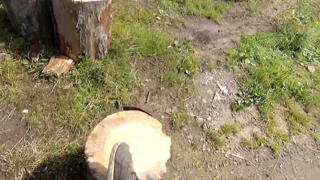 Валежник/ЛЭП/Готовим дрова к зиме смотреть онлайн