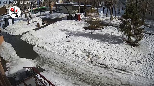 Книжный холодильник спёрли прямо перед презентацией. смотреть онлайн