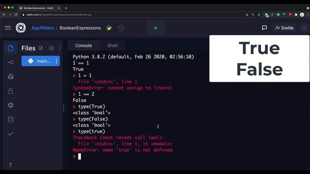 Lecture 6 - Boolean Expressions in Python смотреть онлайн