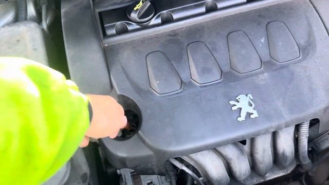 Разборка Peugeot - 307, 2 (VIN: VF33BRFJC84749617) FL56BYA смотреть онлайн