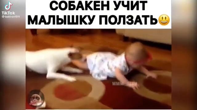 учитель.mp4 смотреть онлайн