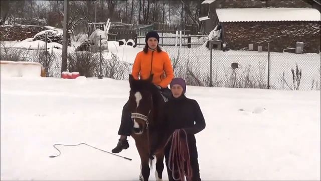 Учебная посадка на рыси без седла( урок 3) смотреть онлайн