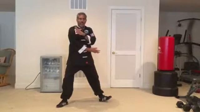 U.S. TAI CHI ACADEMY - Lesson 16 (Gary) смотреть онлайн