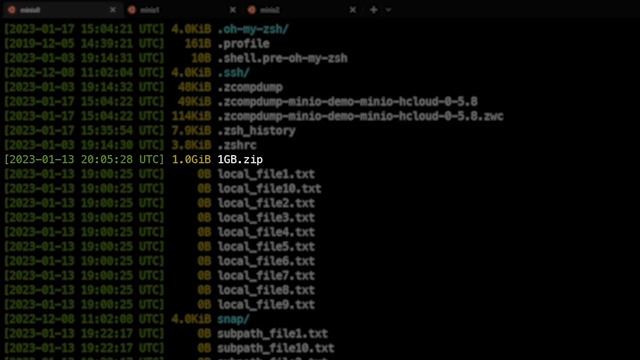 MinIO Client List Command - List (mc ls) смотреть онлайн