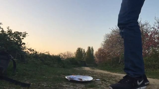 ЧТО БУДЕТ, ЕСЛИ ПОДЖЕЧЬ САМЫЙ ДЛИННЫЙ КОСЯК смотреть онлайн