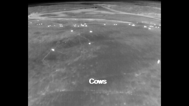 DJI Mavic 3T Enterprise, First Look, Fly With Mike