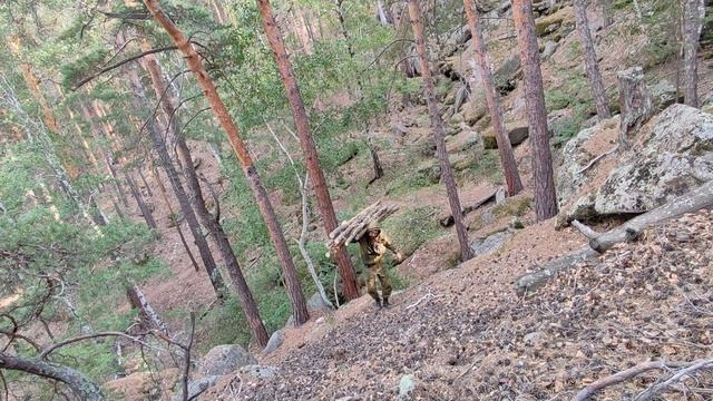 ОДИН В ЛЕСУ.ЛЕТНИЕ СОЛНЦЕСТОЯНИЕ.ЛЕЖАК ИЗ ПЛАЩ-ПАЛАТКИ . смотреть онлайн