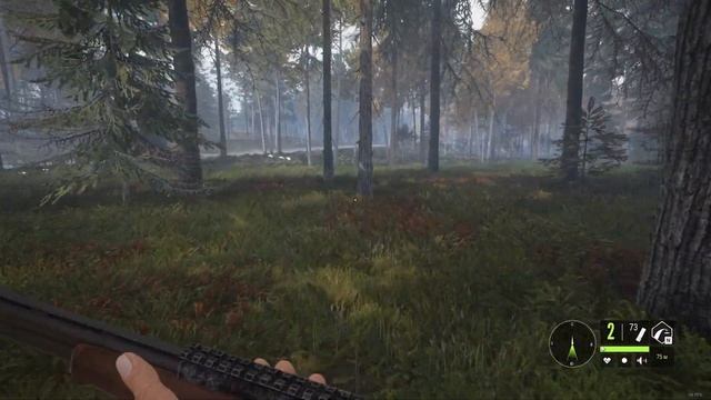 Охота на белую куропатку, побережье Ревонтули | theHunter Call of the Wild (2022) #14 смотреть онлайн
