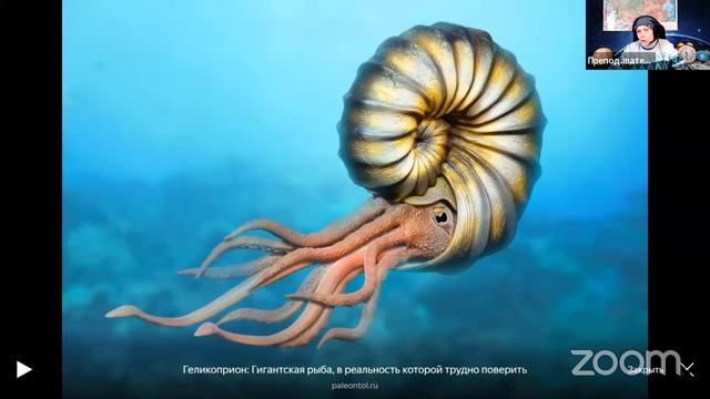 ВПР на отлично по биологии в 5 классе смотреть онлайн