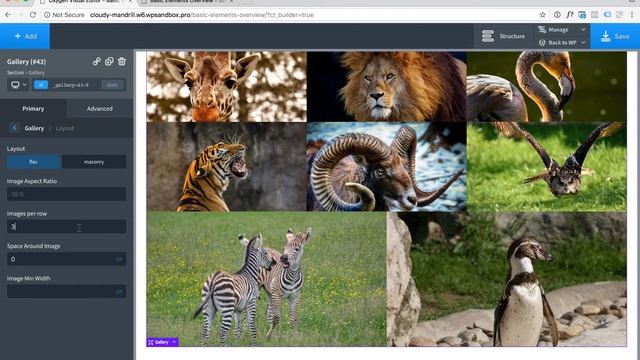 Oxygen's Gallery Element: Create Responsive Lightbox Image Galleries With Masonry Or Grid Layout