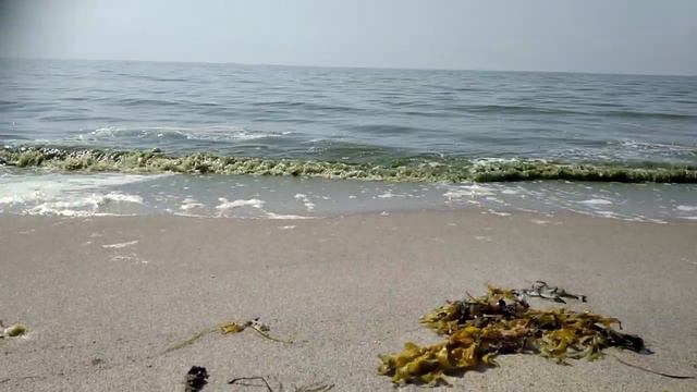 Балтийское море 20.07.2022 смотреть онлайн