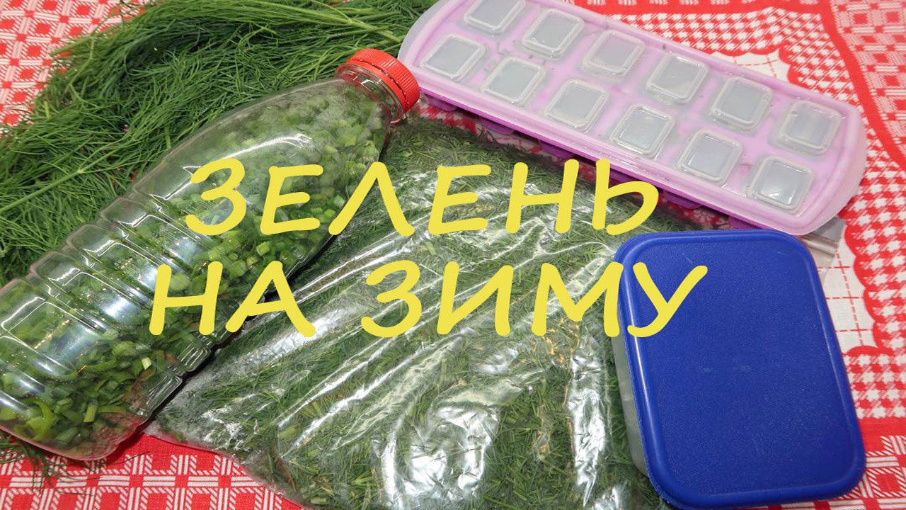 Заморозка зелени на зиму. 4 способа заморозки зелени. Свежая зелень зимой смотреть онлайн