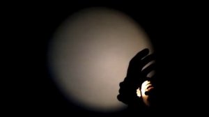 Театр Теней Феникс. Театр Теней из рук дома. Красиков Антон