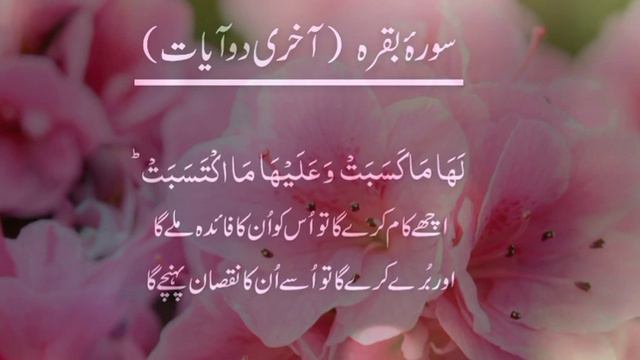 Surah Baqarah | Surah Baqarah Last 2 Ayat #islamic #islam #beautiful смотреть онлайн