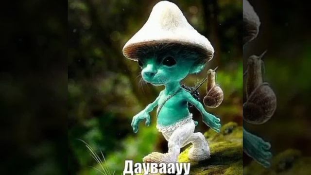 Шайлушай 1 ЧАС!!!!!!!!?!?!?!?!?!!?!!! смотреть онлайн