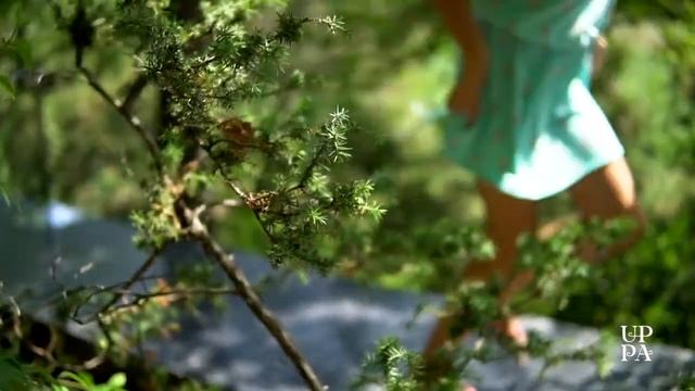 CYCLOPE РЕСТОРАН смотреть онлайн