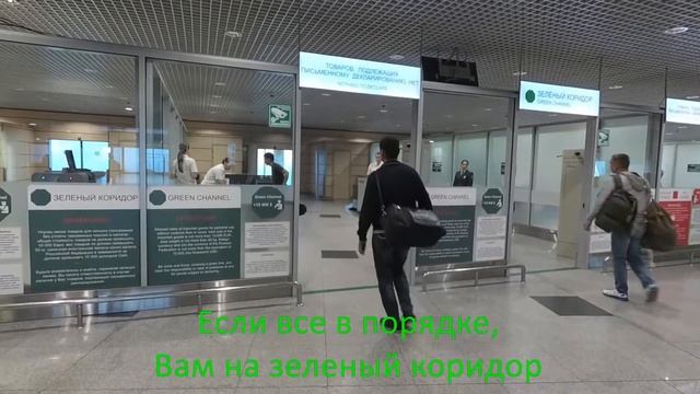 Таможня дает добро! Как работает таможенная служба Домодедово