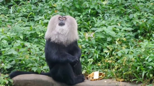 самые красивые места в индии #из индии #индия смотреть онлайн