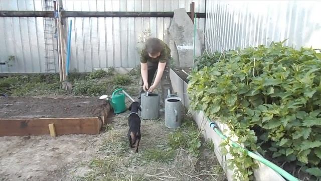 полив грядки смотреть онлайн