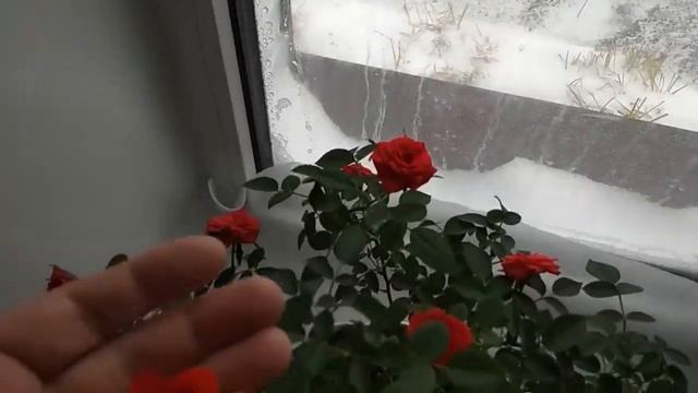 ❄️❄️НЕУЖЕЛИ ЗИМА????УЖЕ????❄️ //БРАКОВАННЫЕ ОКНА// УСИЛИВАЮ ПОДСВЕТКУ//