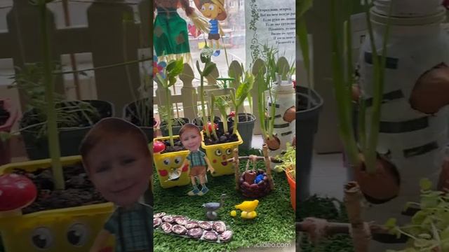 Огород на подоконнике "На даче у Знайки" смотреть онлайн