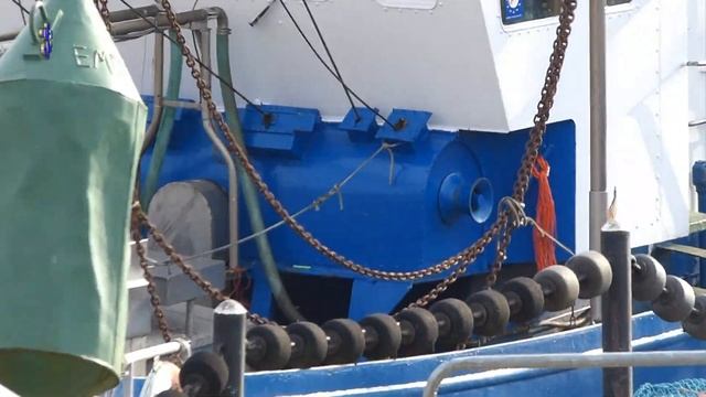 Panasonic-Lumix-FZ200 - Real Live Test смотреть онлайн