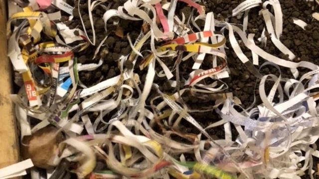 Indoor Worm Compost Bin смотреть онлайн