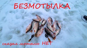 БОЛЬШЕ НИКАКОГО МОТЫЛЯ!! СОРОГА НА БЕЗМОТЫЛКУ! ЛОВЛЯ ПЛОТВЫ ВЕСНОЙ