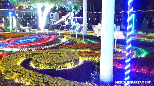 Namangan Flowers — 2023 | Цветы Намангана — 2023 | Наманган гуллар байрами | #Gullarbayrami #Flower