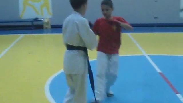 КИОКУШИНКАЙ-Организация абсолютной истины. смотреть онлайн