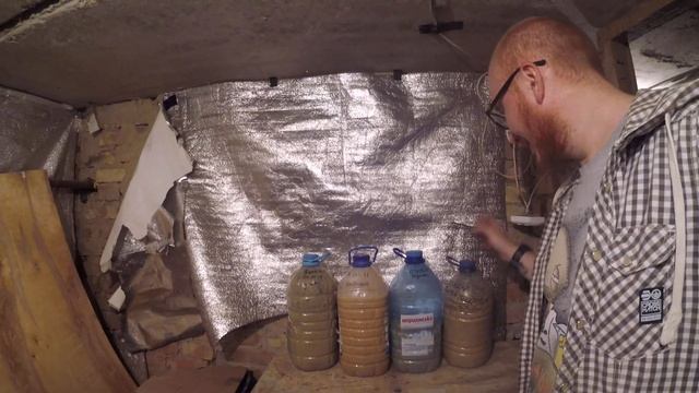 #дендробена корма день 155 | эксперементы с дрожжами и бокаши в баклажка спустя 12 дней смотреть онлайн