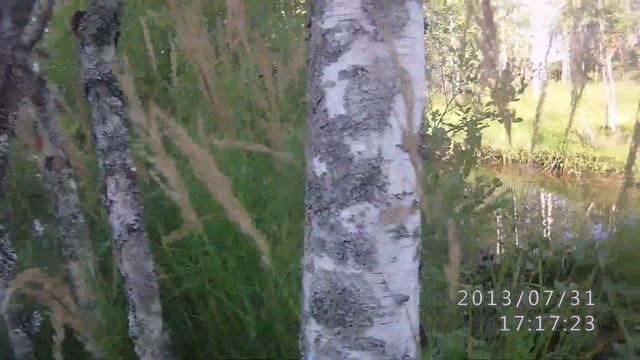 За морошкой 9 смотреть онлайн