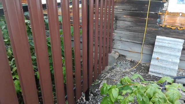 Полисадник из евроштакетника. Ура!!! Мы его сделали.