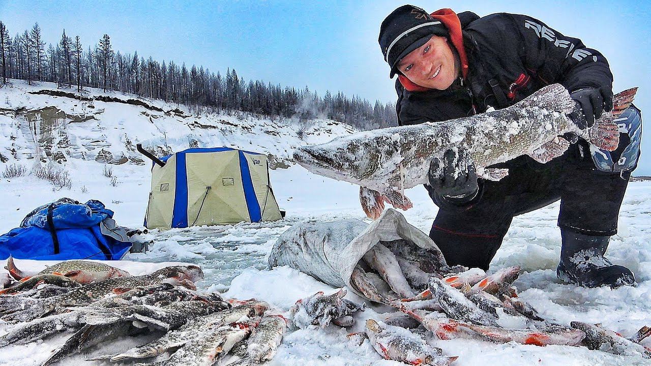 ЭТИ ЩУКИ НЕ ДАЮТ ПОКОЯ! УЖЕ ТОННУ ПОЙМАЛИ! ПЛОТВА С НОГУ, ЖЕРЛИЦЫ, КАРАСЬ, ХОМУС! смотреть онлайн