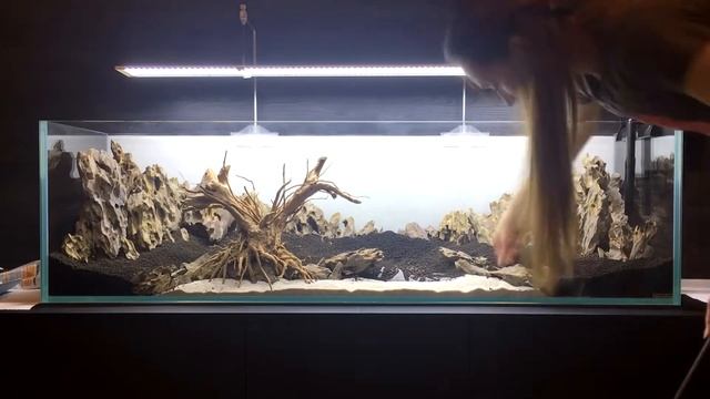 My First Aquascape. Hardscape. Мой первый аквариум. Создание хардскейпа.