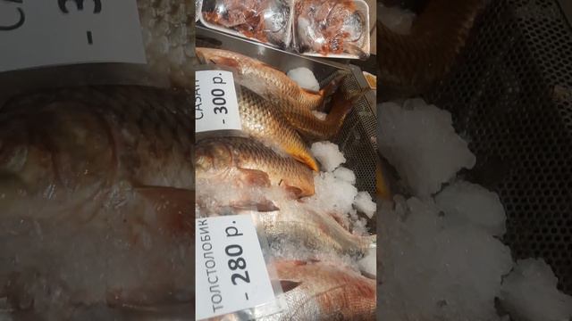 Мурманский рыба.Цена СПБ смотреть онлайн