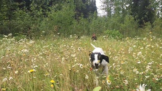 Obi in slo mo. смотреть онлайн