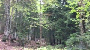 Ах как хотелось нам... быть взрослыми...