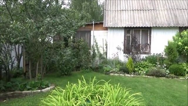 Дача. Просто зарисовки. Светины садово-творческие муки. Ваш совет. Новая Рубрика - Дача Оли Шотиной смотреть онлайн