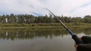 ЩУКА ХВАТАЕТ ЩУКУ ! Бешеный клёв продолжается . Июль 2020