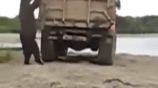 Медведь залез в грузовик смотреть онлайн