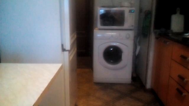 Кошка Турецкая ангора приносит мяч смотреть онлайн