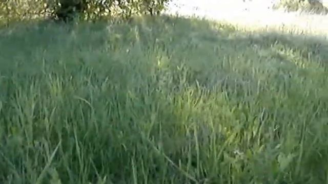 Стурзовские Террасы (Райский уголок) смотреть онлайн