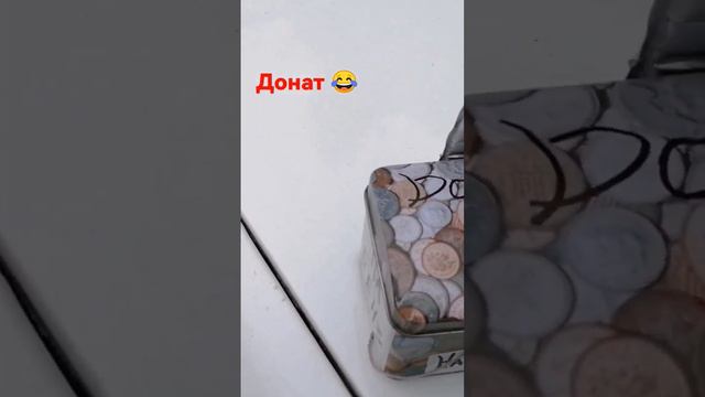 что делать если нет подписчиков, а хотелось бы. донат | заработок | #владелецЗапорожцев 😂😂😂 смотреть онлайн